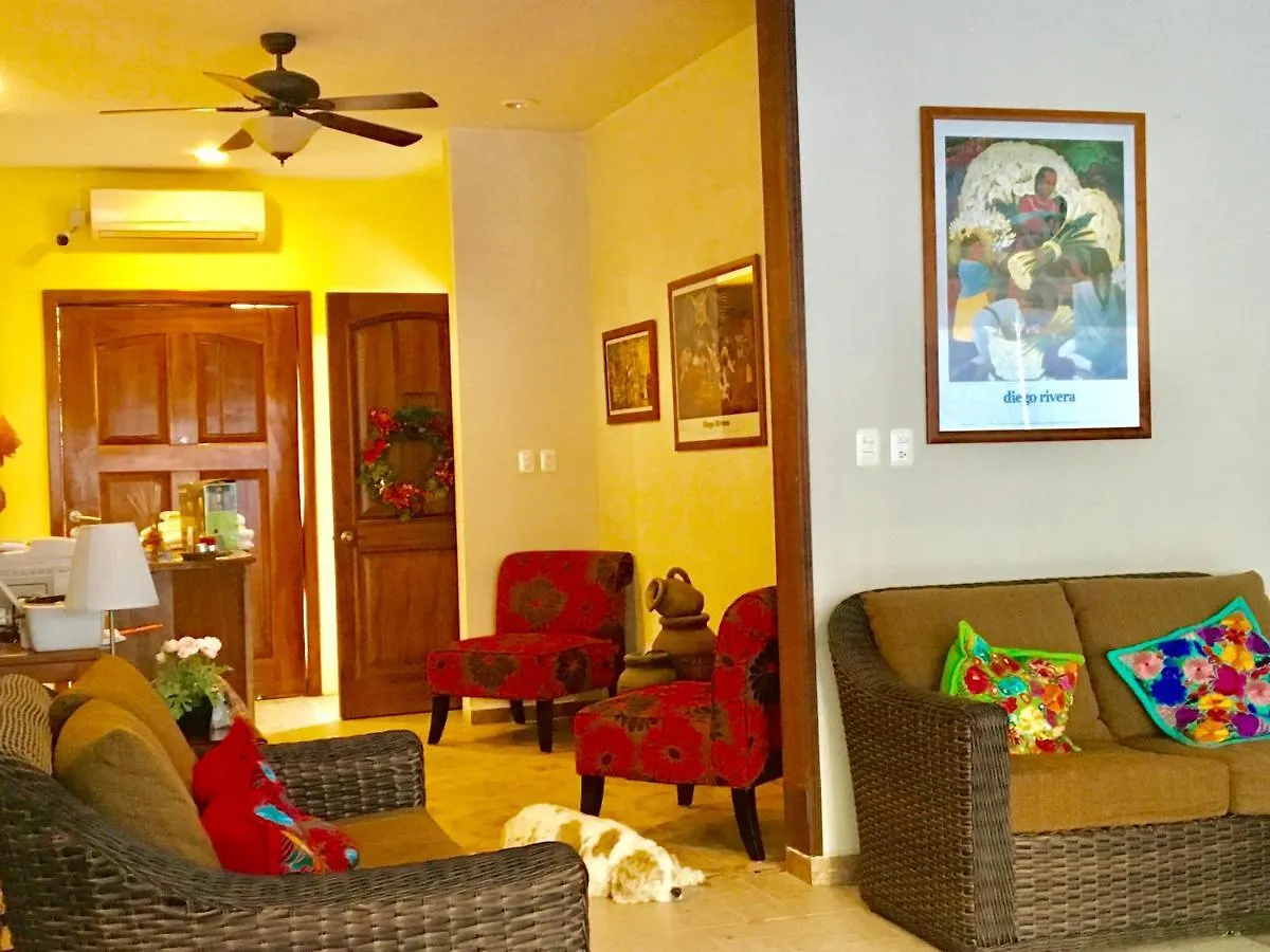 Casa Paloma Blanca Hostel Isla Mujeres